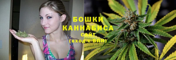 каннабис Новокубанск