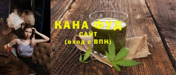 молекула духа Богданович