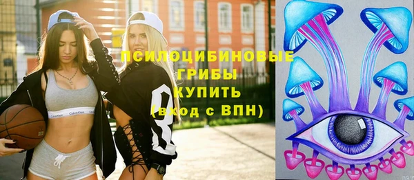 MDMA Новозыбков