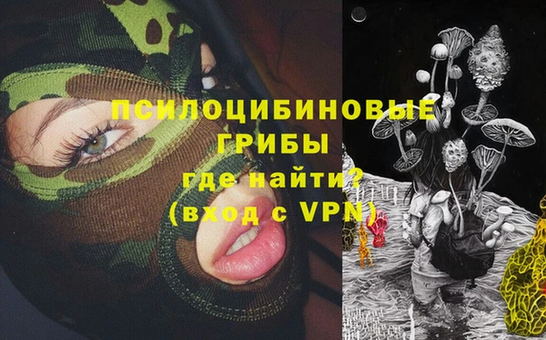 молекула духа Богданович