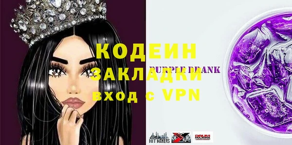 молекула духа Богданович