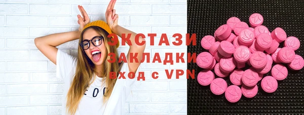 молекула духа Богданович