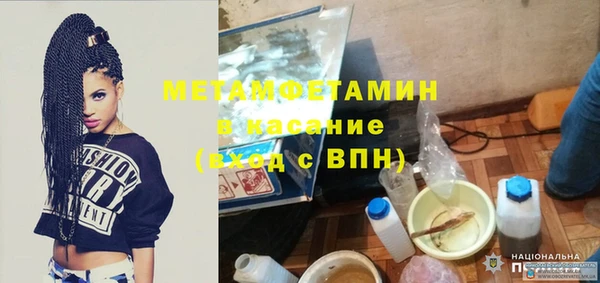 молекула духа Богданович