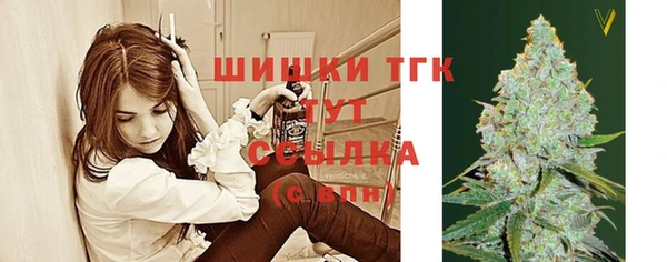 молекула духа Богданович