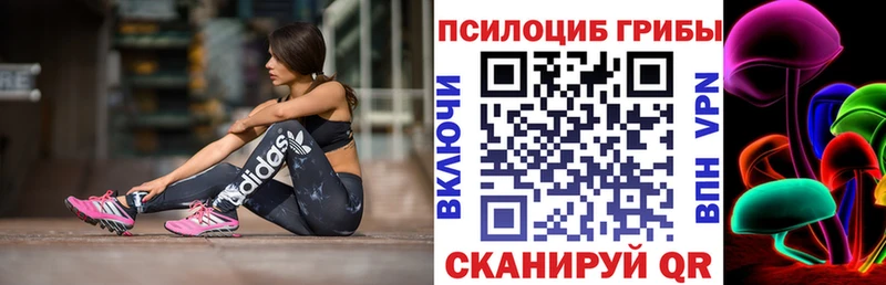 Купить Уяр Псилоцибиновые грибы мицелий